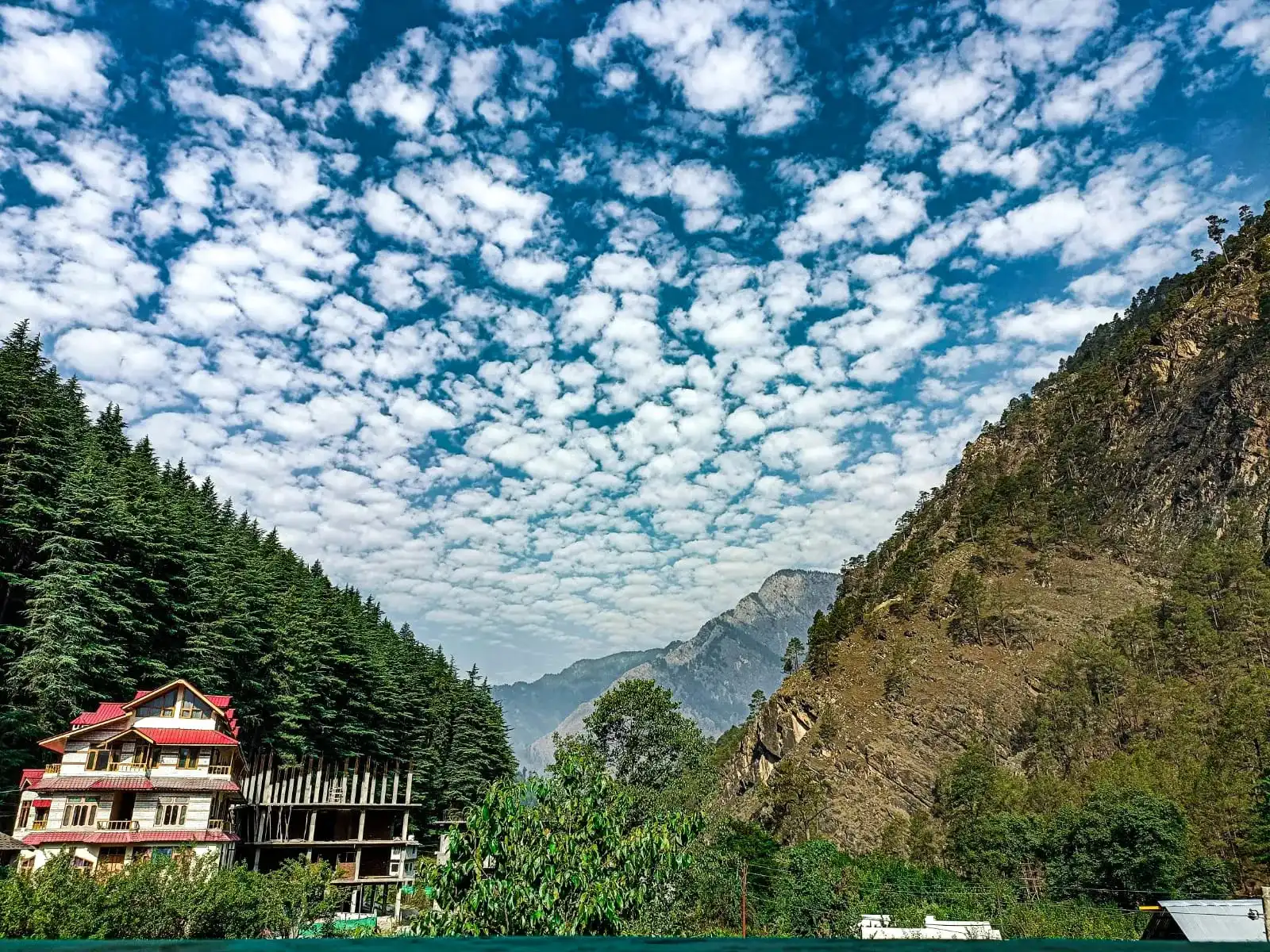 High in Himalayas_gallery-24